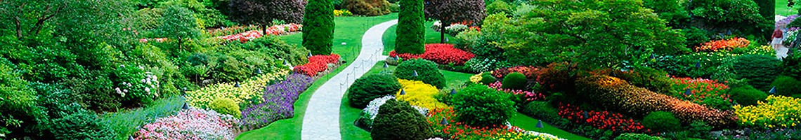 Landscape design in Minsk